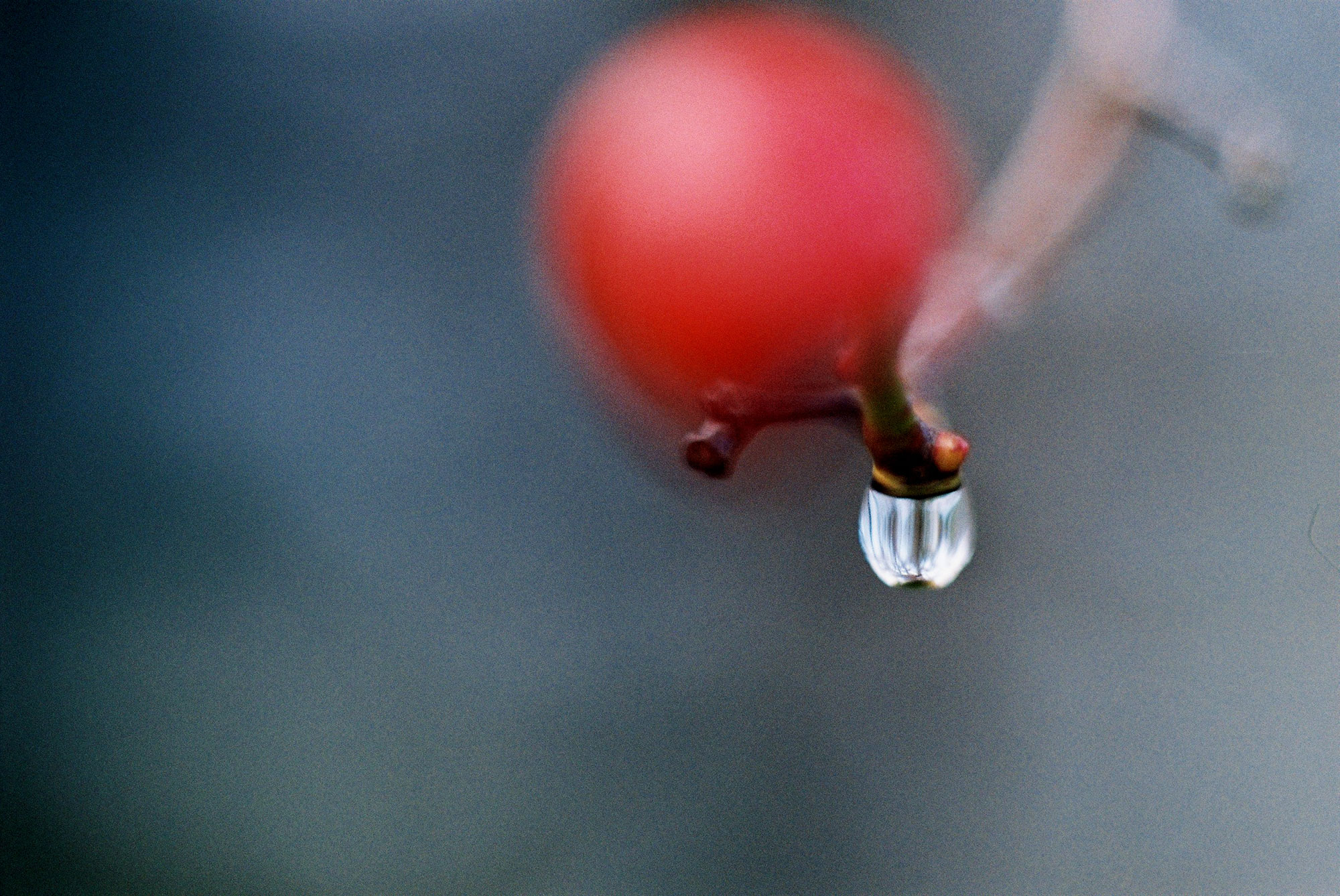 Ψεκαστήρες