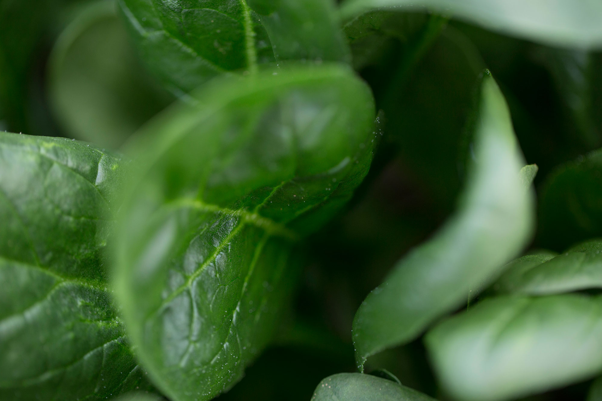 Μεμονωμένα ιχνοστοιχεία