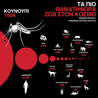 κουνούπια, τα πιο θανατηφόρα ζώα στον κόσμο