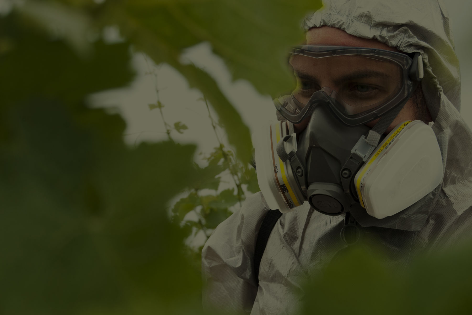 Φόρμες Προστασίας