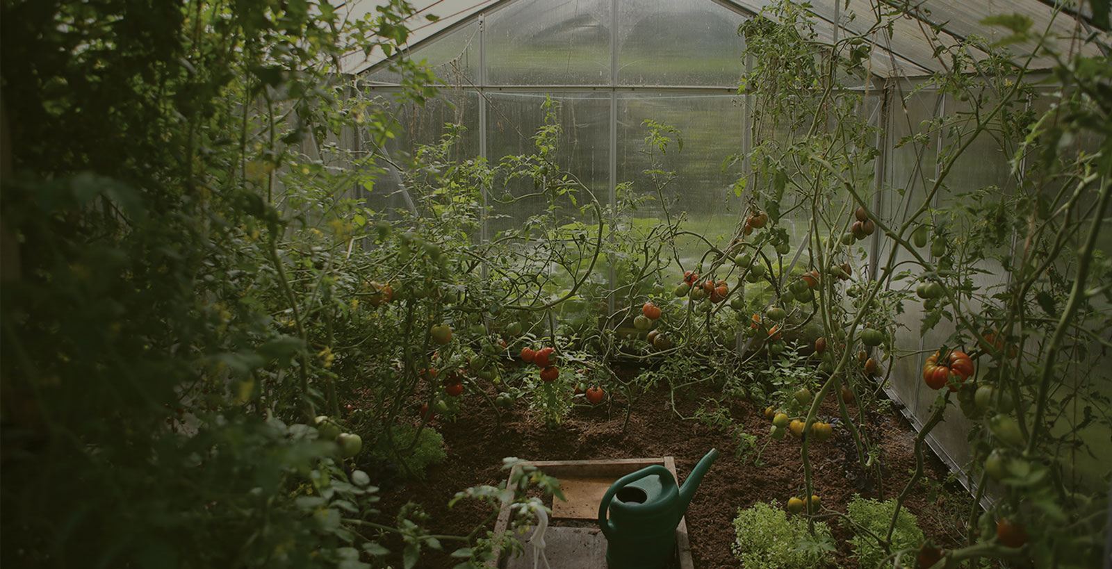 Διάφορα προϊόντα