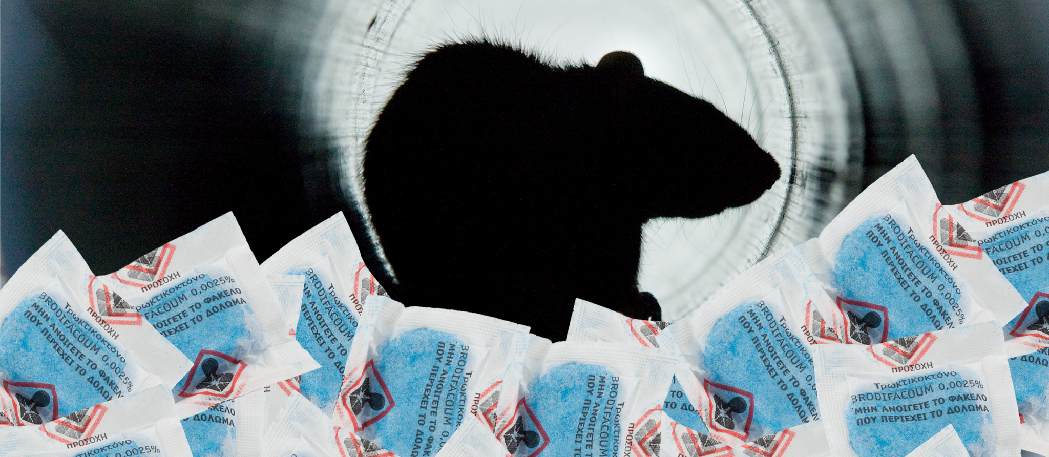 αρουραίος με παστα agroza